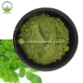 Bubuk daun grosir moringa oleifera